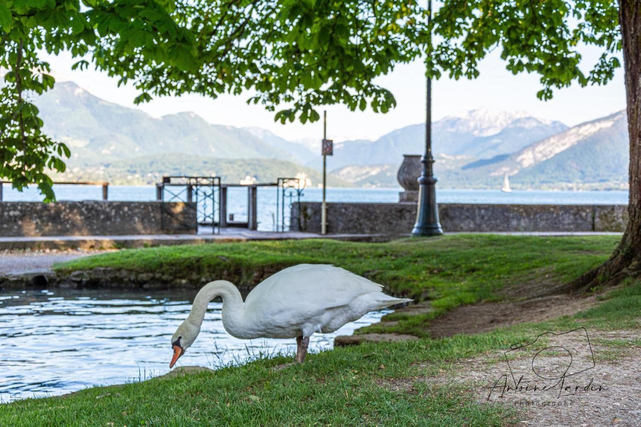L'Amedee - Appt A 500M Du Lac Annecy Extérieur photo